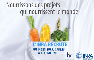 Concours Inra