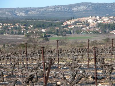 Un village entre plaine viticole et garrigue dans la région urbaine de Montpellier © F. Jarrige