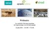 Invitation au webinaire "Les activités d’élevage au prisme de l’agroécologie et de la bioéconomie "