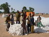 Coton au Mali