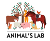 Animal's Lab © dessin Aurélie Verdon
